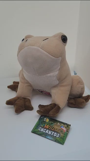 Frog plushies  Frog doll, Plush dolls, Animal plush toys